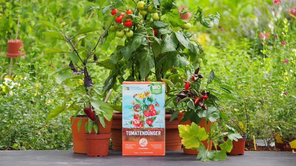Fertilizante de tomate Plantura