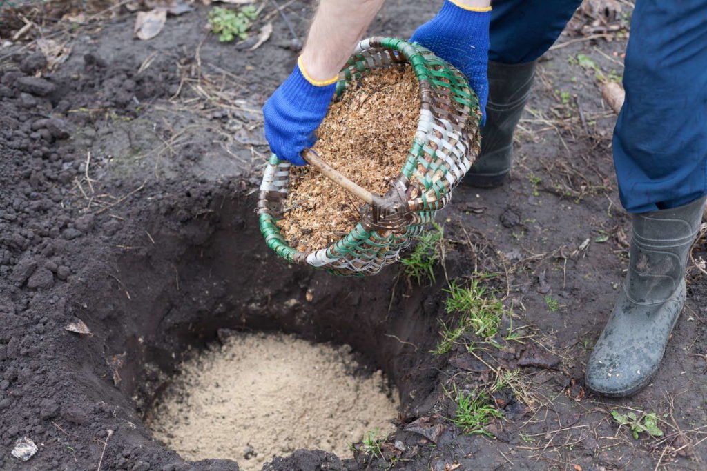 Llene el hoyo de plantación con sustrato en la canasta.