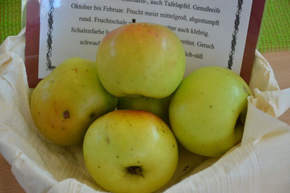 Landsberger Renette manzanas en un recipiente