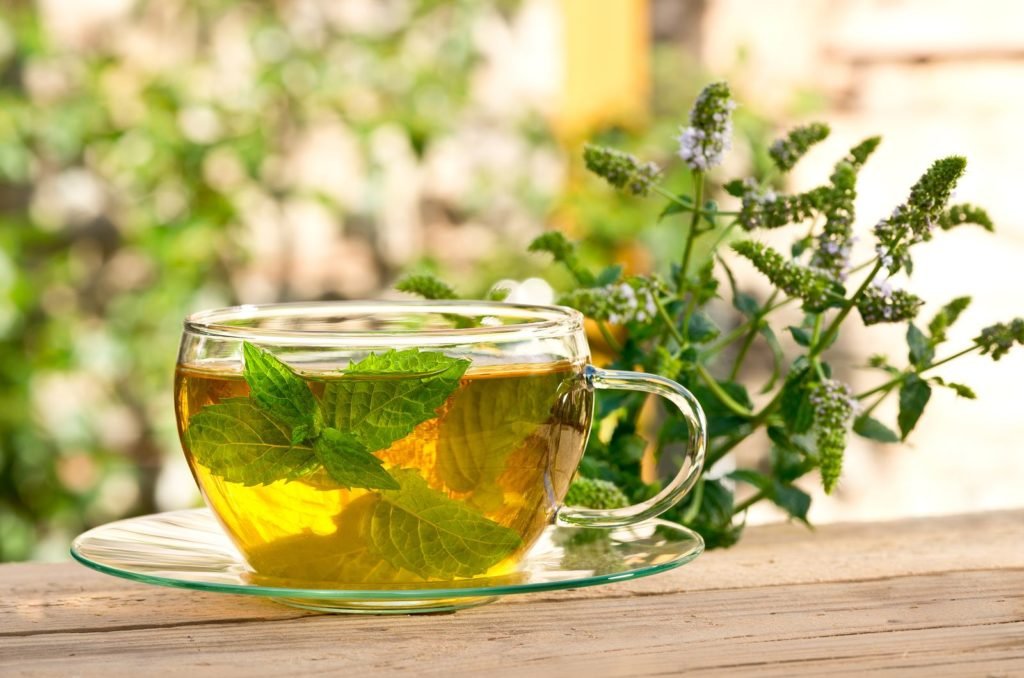 Taza de té con té de hierbas a base de menta