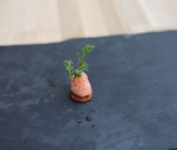 Sección de residuos de cocina de raíz de zanahoria
