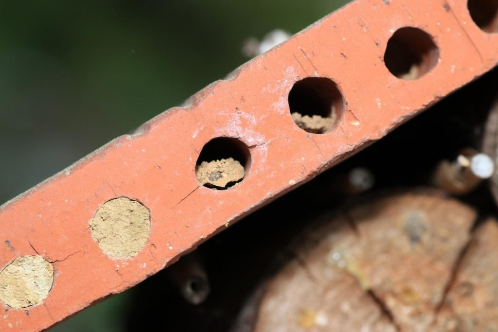 Ayuda para la anidación de abejas silvestres hecha de ladrillos viejos