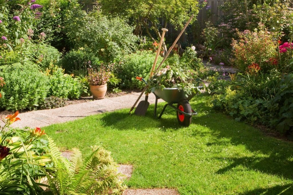 Carretilla y herramientas de jardinería en el jardín.