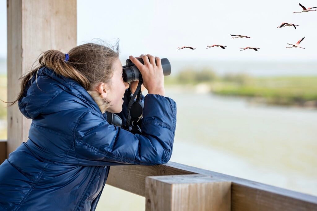 Niño observando pájaros